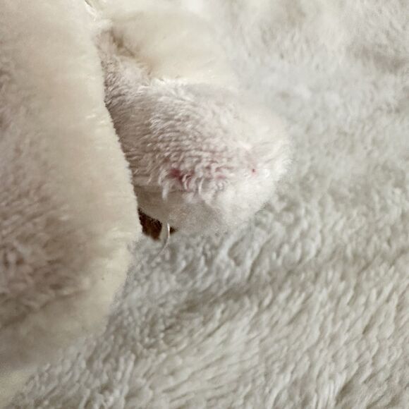 Gund Grumpy Cat 6” Stuffed Animal Toy Brown Beige - Picture 2 of 6